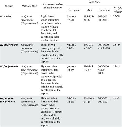 Morphological characteristics that differentiate the new species from ...