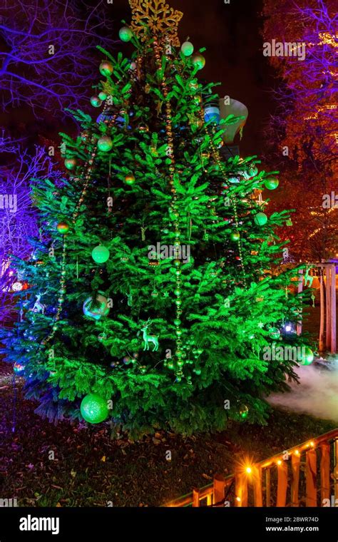 Christmas tree in Vienna, Austria Stock Photo - Alamy