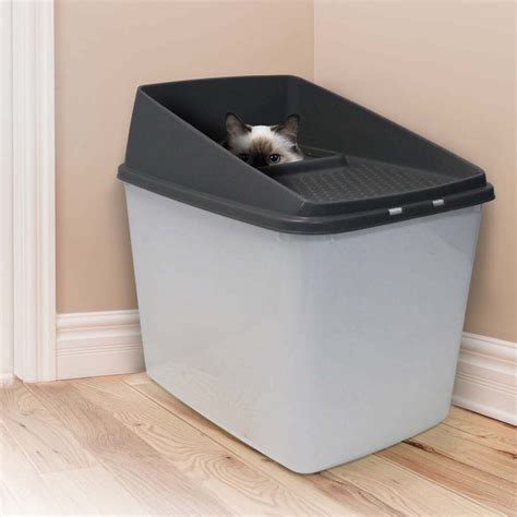 Top 10 Large Top Entry Litter Boxes for Your Cat's Comfort: A Complete ...