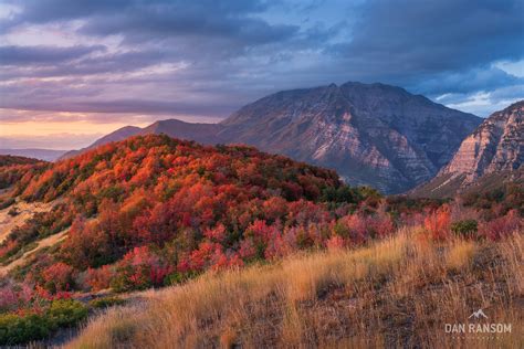 Autumn in the Wasatch - Fall 2019 - Dan Ransom Photography