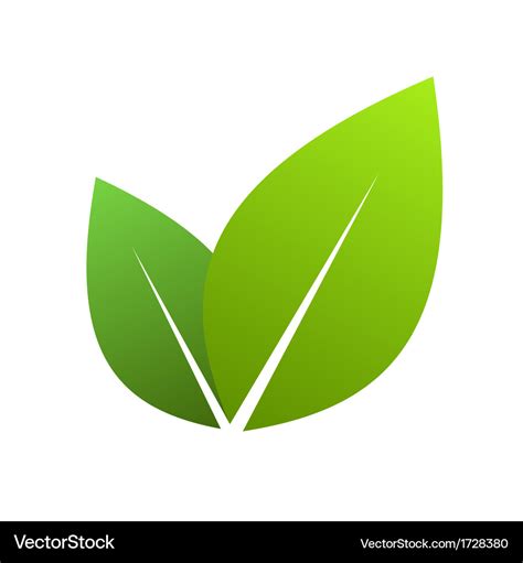 Green leaves Royalty Free Vector Image - VectorStock