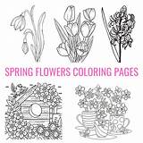 Free Spring Flowers Coloring Pages For Kids And Adults sketch template