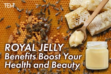 Royal Jelly Benefits: Nature’s Elixir for Health