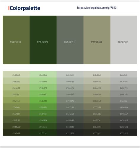 1 Latest Color Schemes with Mallard And Celeste Color tone combinations ...