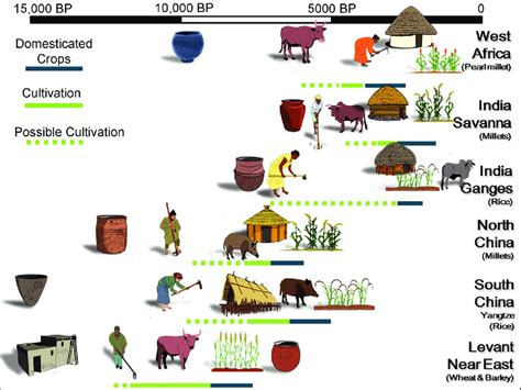 Timeline Of Domestication