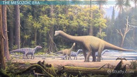 Mesozoic Era Overview, Timeline & Facts - Lesson | Study.com