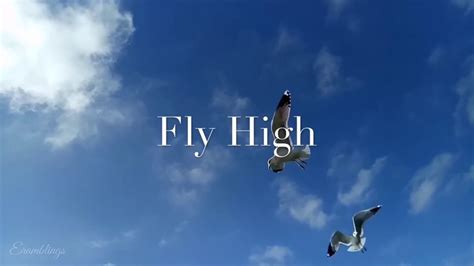 Fly High | Inspirational Quotes | Motivational Quotes - YouTube