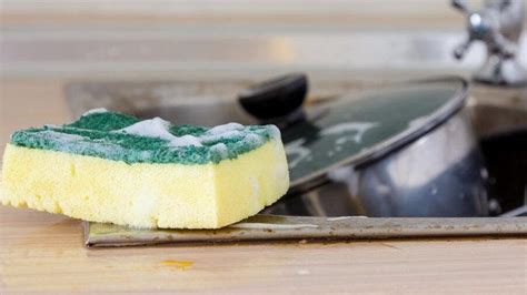 Your Guide To Cleaning Your Sponge – Forbes Home