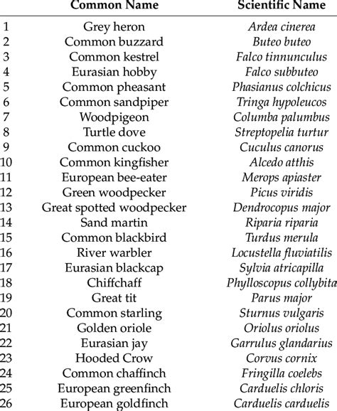 List of bird species seen and/or heard during the censuses listed in ...