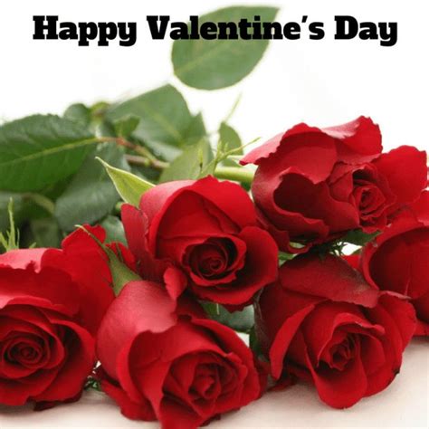 Valentine’s day red rose images | Red roses, Flowers, Rose