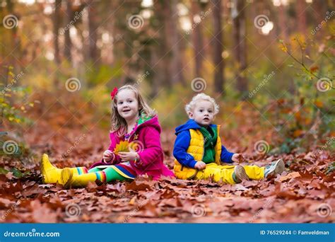 Kids Playing in Autumn Park Stock Photo - Image of garden, baby: 76529244