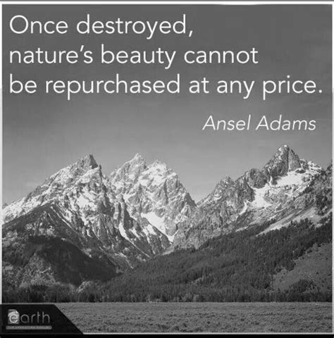 Angel Adams | Ansel adams, Nature quotes, Nature beauty