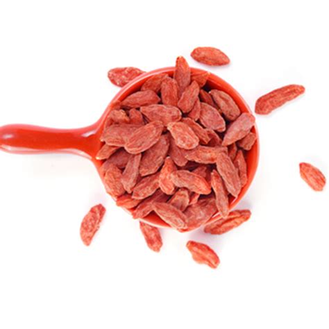 Dried Fruit Chinese Wolfberry for Goji Berry Tea - Chinese Wolfberry and Dried Fruit