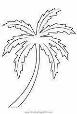 Palm Tree Coloring Pages For Free Printable 58% OFF sketch template