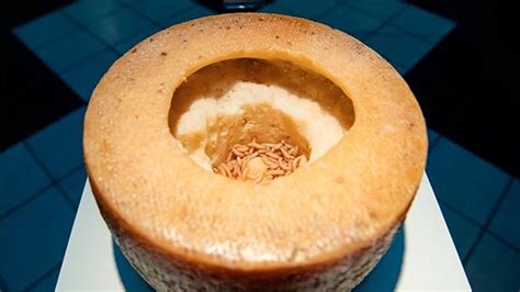 Behold, Casu Marzu! Or Sardinian maggot cheese. : r/oddlyterrifying