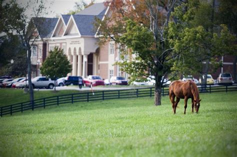 Midway College's working horse farm is right on campus. #MidwayCollege ...