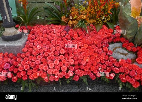 Pasadena, California, USA 3rd January 2023 Rose Parade Floats on display at Floatfest for Rose ...