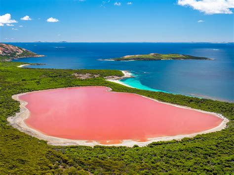 Best things to do in Esperance, Western Australia | escape.com.au