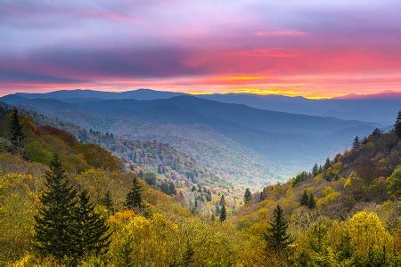 5 Must-Do Appalachian Trail Sections in Northeast Tennessee - Northeast ...