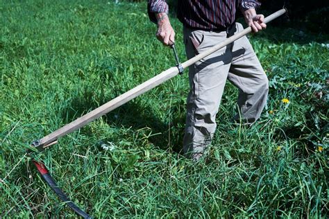 How to Mow With a Scythe - Dengarden