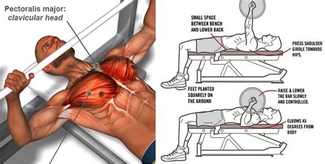 20 Tips To Improve Your Bench Press Strength | Fitness Workouts & Exercises