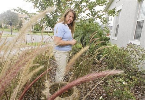 Florida Xeriscape | Xeriscape, Native plants, Lawn