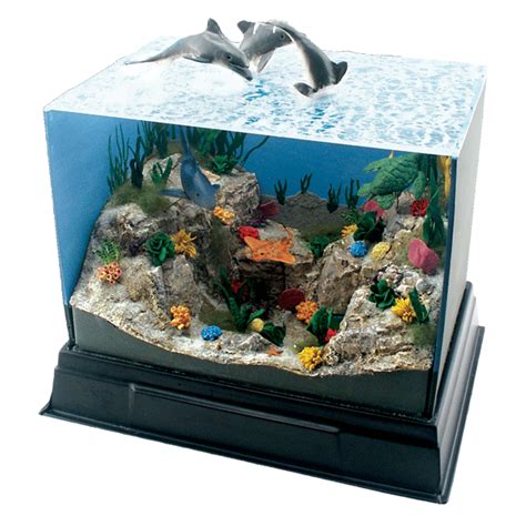 Dioramas - School Project - How To Diorama - School Display | Ocean projects, Ocean diorama ...