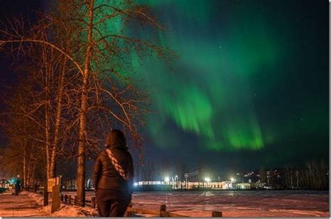 Chasing the Fairbanks Northern Lights: A Truly Incredible Sight in Alaska