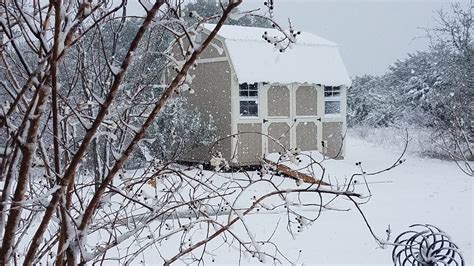 PHOTOS: Winter weather in Central Texas | FOX 7 Austin