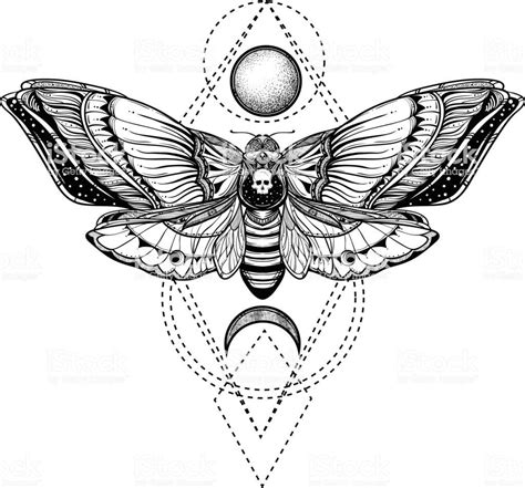 black and white deadhead butterfly on sacred geometry vector ...