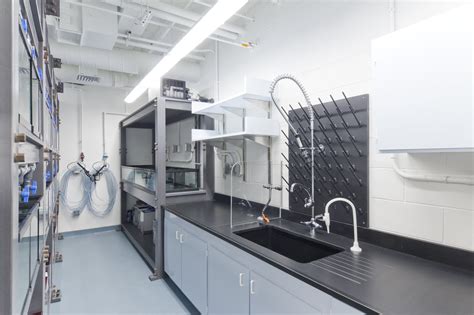 Marine Biology Research Laboratory - Boston University — Isgenuity, LLC