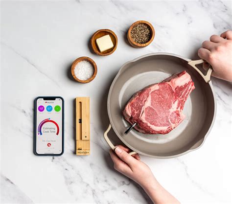 MEATER Plus Wireless Meat Thermometer | HP Fire