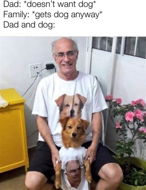 Dog dog dog | Dad and the Dog | Know Your Meme