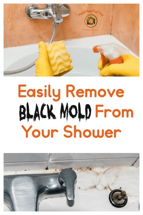 Black Mold In The Shower? Here’s How To Remove It! | Mold Help For You