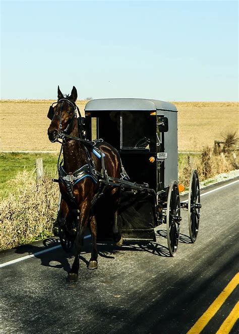 Amish Barns | A Tradition of Barn Building Excellence