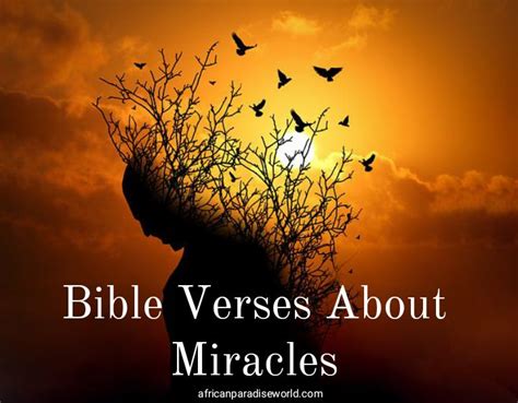 Best Bible Verses About Miracles You shouldn't Be Ignorant About