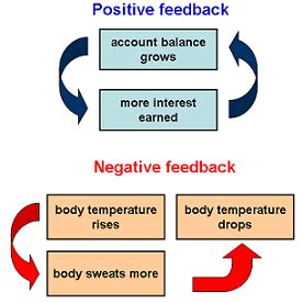 Feedbacks schematic | Anatomy lessons, Nursing school notes, Negative feedback