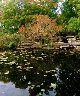 U.S. Tourist Attractions | Scenery at Lincoln Park, Chicago,… | Flickr