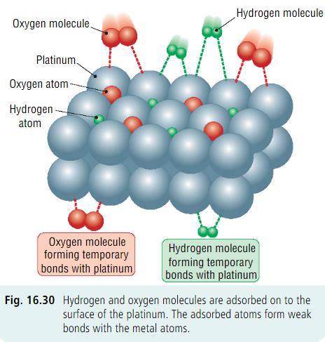 Mechanism Of Adsorption Ncert Explained Surface Chemistry Class | My ...