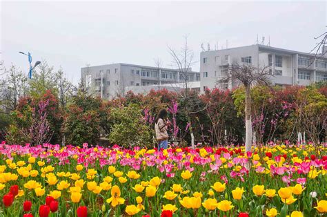 Jiangxi Agricultural University - China University Jobs