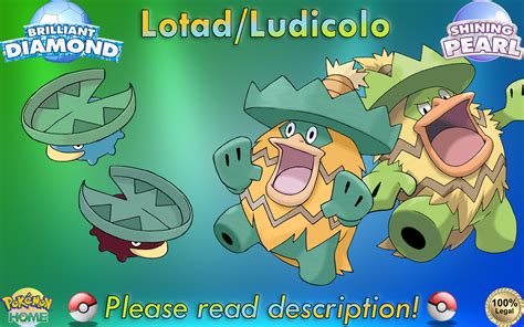 Shiny/non-shiny Lotad/ludicolo 6IV Brilliant Diamond/shining - Etsy