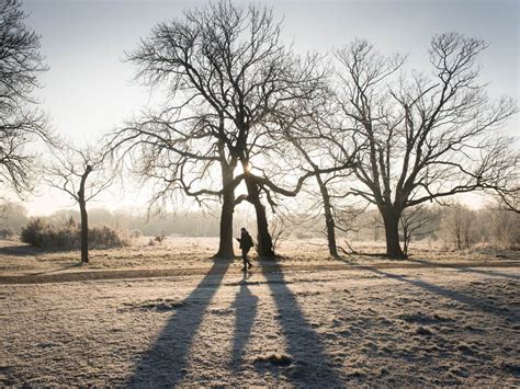 Bank holiday weather: Monday to bring freezing weather as temperatures ...