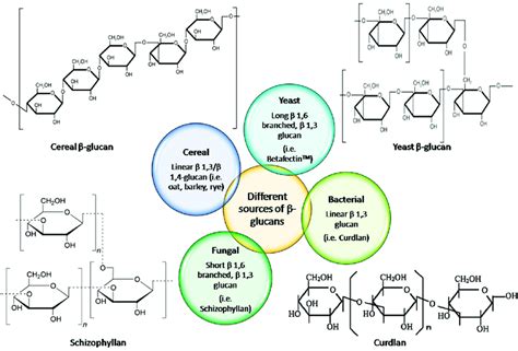 Structure and branching degree of beta-glucan from different sources. | Download Scientific Diagram