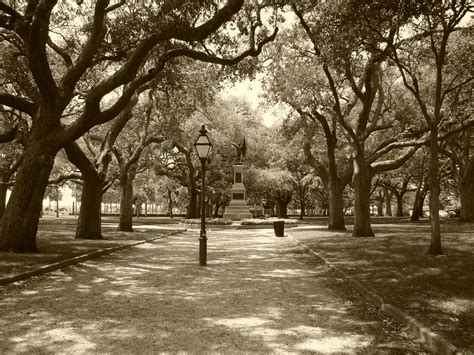 Park Charleston South · Free photo on Pixabay