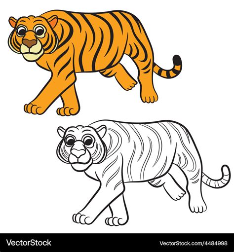 Tiger coloring book Royalty Free Vector Image - VectorStock