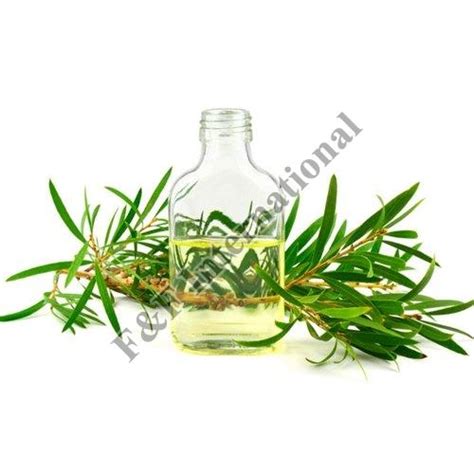 Cajeput Essential Oil Manufacturer Supplier from Delhi India