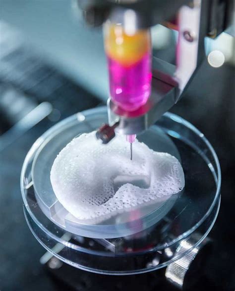 3D Bioprinting is Now a Reality: Bio-Ink Stem Cells Identified | Core ...