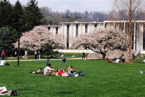 UNC Asheville: Acceptance Rate, SAT/ACT Scores, GPA