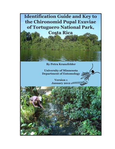 Part 1- Identification Guide and Key to the - Chironomidae Research ...