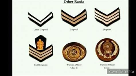 Sri Lanka Army Rank Structure Officers Youtube - vrogue.co